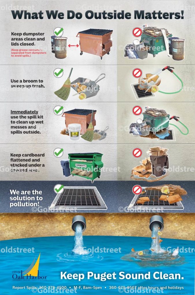 Wastewater Pollution Infographic